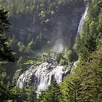 Pyrenees Family T3