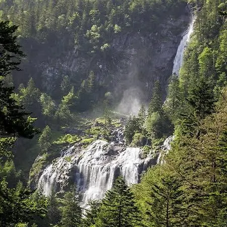 Pyrenees Family T3